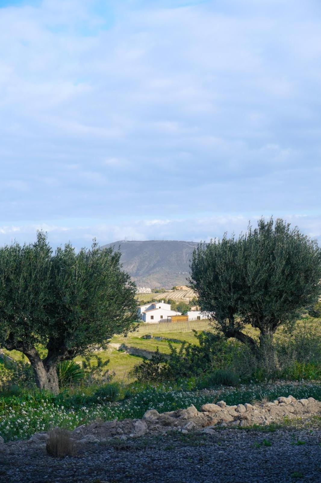 Hotel Finca Olivar ベニッサ エクステリア 写真