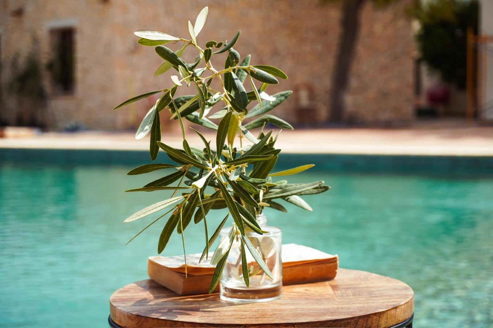 Hotel Finca Olivar ベニッサ エクステリア 写真