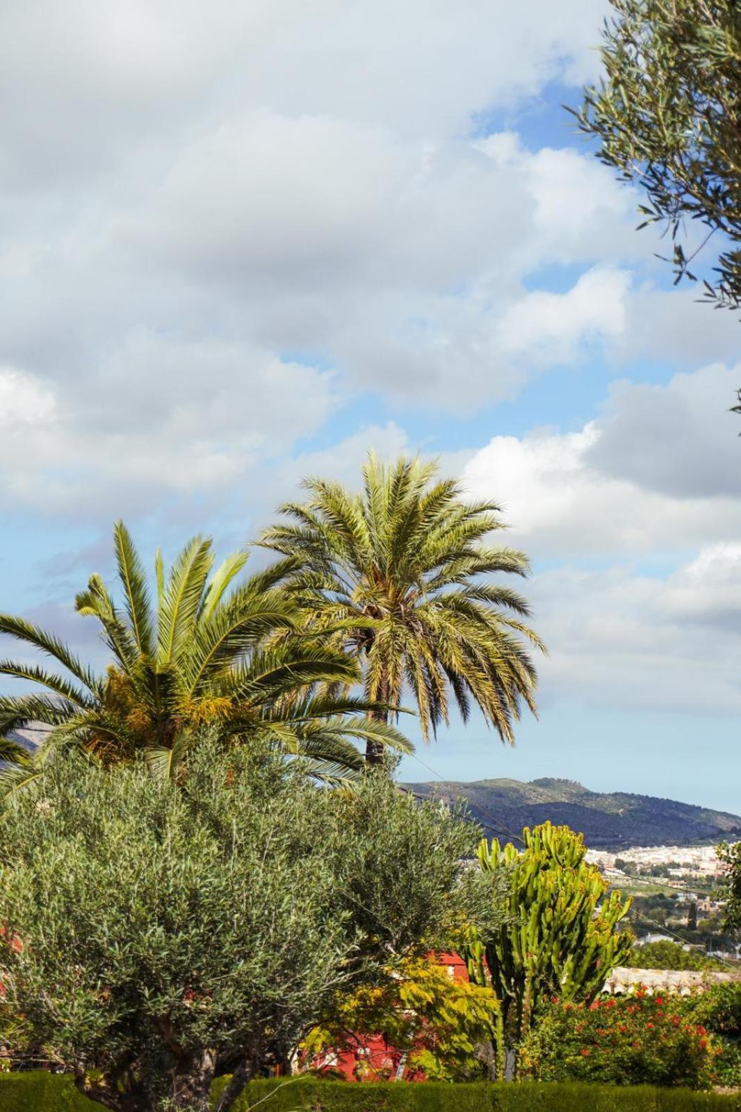 Hotel Finca Olivar ベニッサ エクステリア 写真