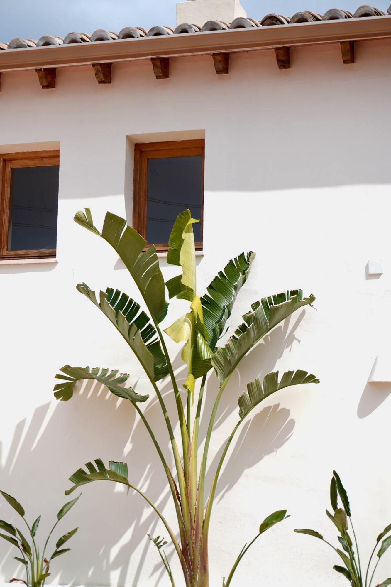 Hotel Finca Olivar ベニッサ エクステリア 写真